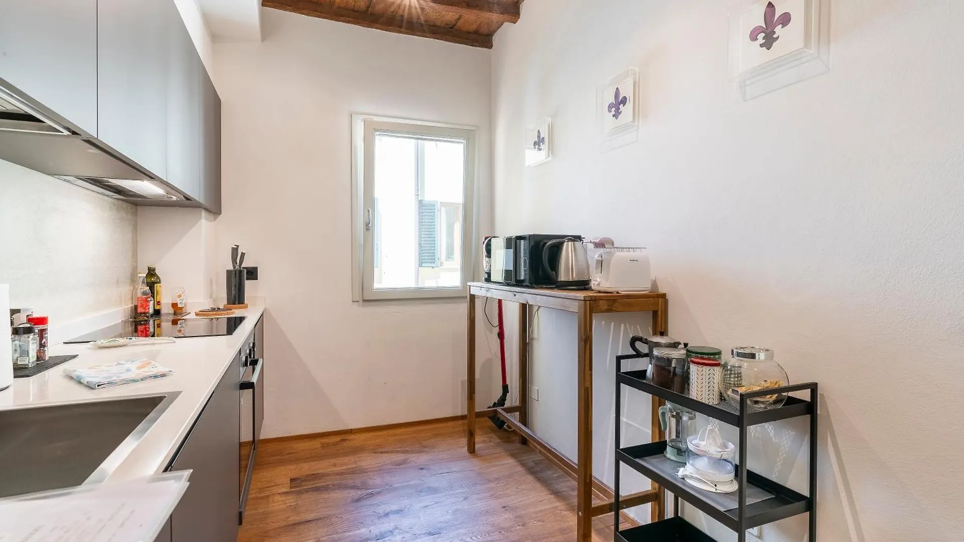 Apartment Oltrarno Deluxe, Florence